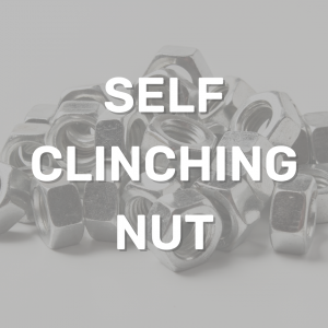 Self Clinching Nut